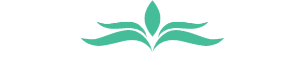 Noria Limited
